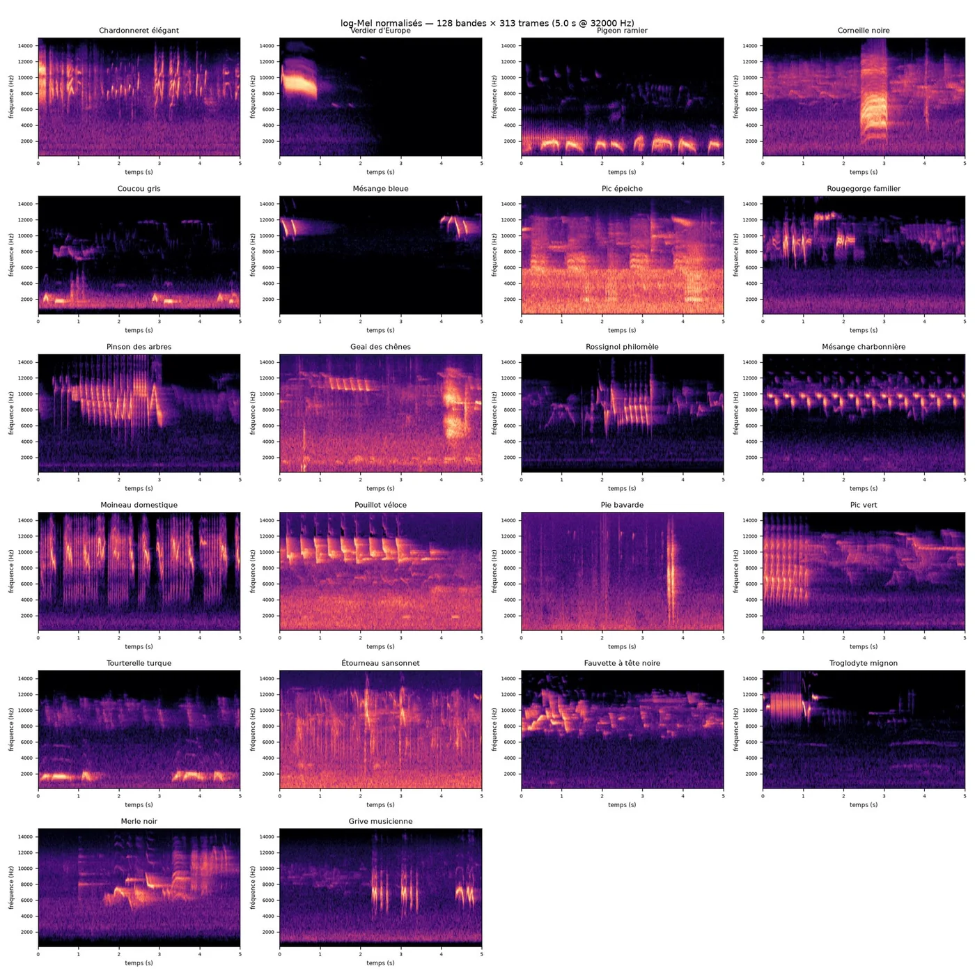 Birdsong — un clip de chaque espèce en spectrogramme